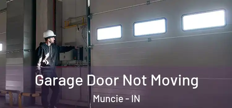  Garage Door Not Moving Muncie - IN