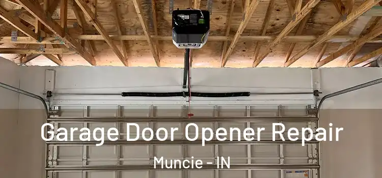  Garage Door Opener Repair Muncie - IN