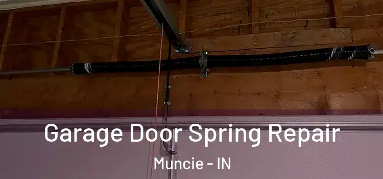  Garage Door Spring Repair Muncie - IN