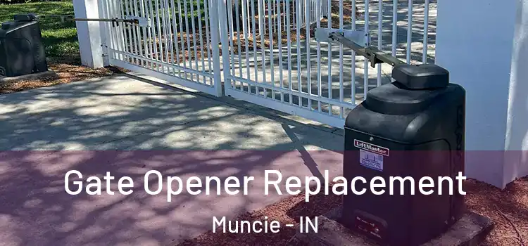  Gate Opener Replacement Muncie - IN