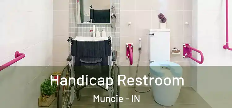  Handicap Restroom Muncie - IN