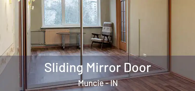 Sliding Mirror Door Muncie - IN